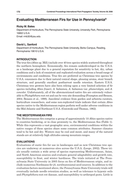 Evaluating Mediterranean Firs for Use in Pennsylvania©