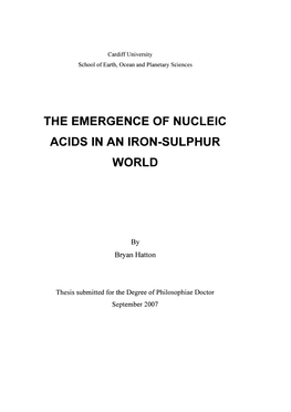 The Emergence of Nucleic Acids in an Iron-Sulphur World