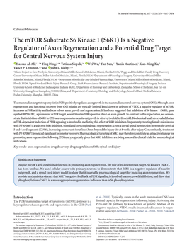 The Mtor Substrate S6 Kinase 1 (S6K1)