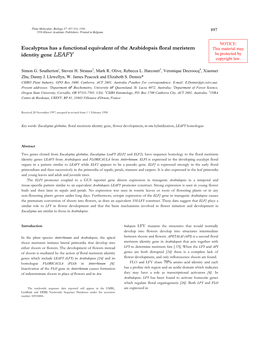 Eucalyptus Has a Functional Equivalent of the Arabidopsis Floral Meristem This Material May Identity Gene LEAFY Be Protected by Copyright Law