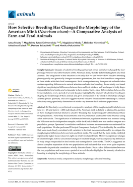 How Selective Breeding Has Changed the Morphology of the American Mink (Neovison Vison)—A Comparative Analysis of Farm and Feral Animals