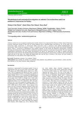 Morphological and Anatomical Investigation on Three Taxa Of