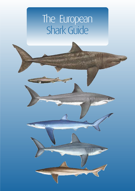 European Shark Guide