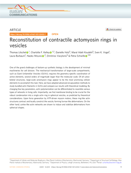 Reconstitution of Contractile Actomyosin Rings in Vesicles