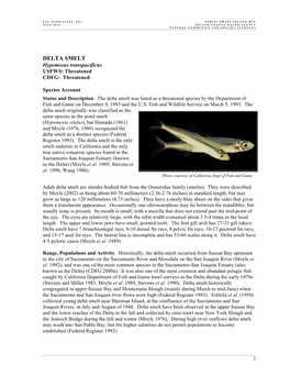 DELTA SMELT Hypomesus Transpacificus USFWS: Threatened CDFG: Threatened