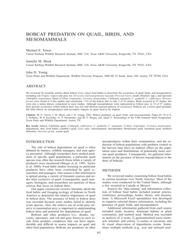 Bobcat Predation on Quail, Birds, and Mesomammals