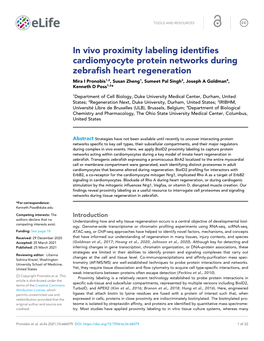 In Vivo Proximity Labeling Identifies Cardiomyocyte Protein