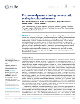 Proteome Dynamics During Homeostatic Scaling in Cultured