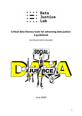 Critical Data Literacy Tools for Advancing Data Justice: a Guidebook