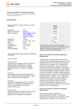 Goat Anti-COX4I2 & COX4I1 Antibody