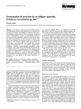 Fermentation of Acetylene by an Obligate Anaerobe, Pelobacter Acetylenicus Sp