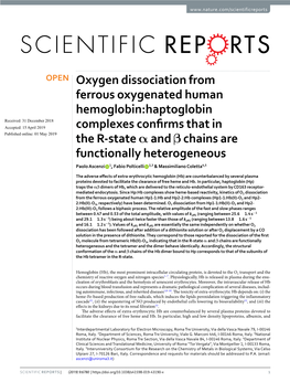 Oxygen Dissociation from Ferrous Oxygenated Human Hemoglobin