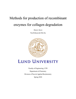 Methods for Production of Recombinant Enzymes for Collagen Degradation