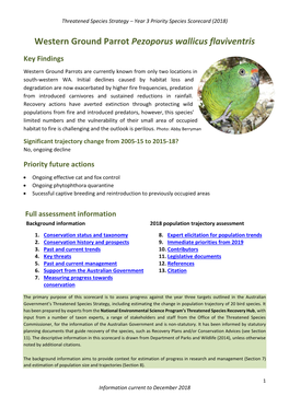 Western Ground Parrot Pezoporus Wallicus Flaviventris