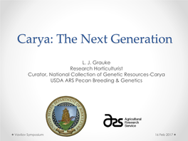 Carya: the Next Generation