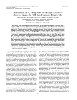Identification of N2-Fixing Plant-And Fungus-Associated Azoarcus