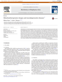 Mitochondrial Genome Changes and Neurodegenerative Diseases☆