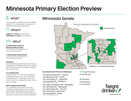 Minnesota Primary Election Preview