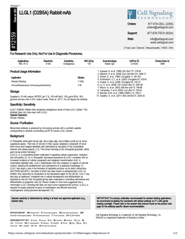 12159 LLGL1 (D2B5A) Rabbit Mab