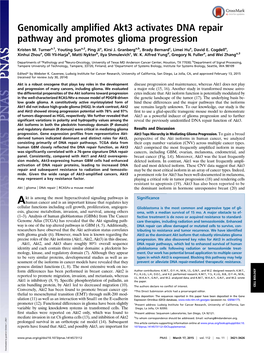 Genomically Amplified Akt3 Activates DNA Repair Pathway and Promotes Glioma Progression