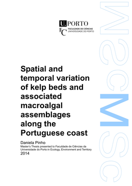 Spatial and Temporal Variation of Kelp Beds and Associated Macroalgal Assemblages Along the Portuguese Coast