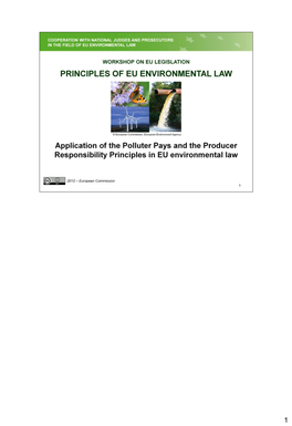 Application of the Polluter Pays and the Producer Responsibility Principle in Other Areas of EU Environmental