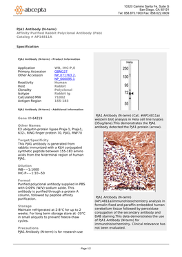 PJA1 Antibody (N-Term) Affinity Purified Rabbit Polyclonal Antibody (Pab) Catalog # AP14811A