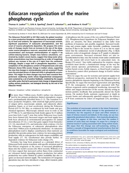 Ediacaran Reorganization of the Marine Phosphorus Cycle