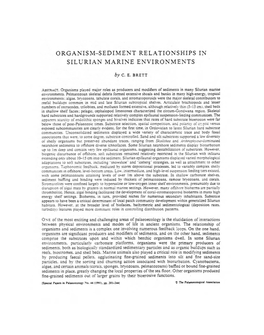 Organism-Sediment Relationships in Silurian Marine Environments