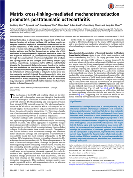 Matrix Cross-Linking–Mediated Mechanotransduction Promotes Posttraumatic Osteoarthritis