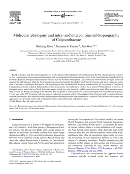 And Intercontinental Biogeography of Calycanthaceae