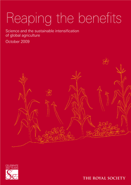 Science and the Sustainable Intensification of Global Agriculture