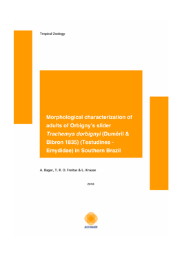 Morphological Characterization of Adults of Orbigny's Slider Trachemys Dorbignyi