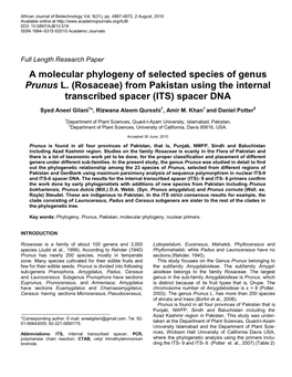 A Molecular Phylogeny of Selected Species of Genus Prunus L