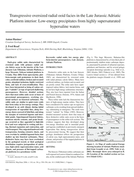 Transgressive Oversized Radial Ooid Facies in the Late Jurassic Adriatic Platform Interior: Low-Energy Precipitates from Highly Supersaturated Hypersaline Waters