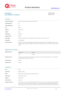 Anti-SMARCC1 Antibody (ARG54105)