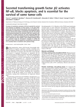 Secreted Transforming Growth Factor 2 Activates NF- B, Blocks Apoptosis, and Is Essential for the Survival of Some Tumor Cells