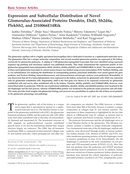 Expression and Subcellular Distribution of Novel Glomerulus-Associated Proteins Dendrin, Ehd3, Sh2d4a, Plekhh2, and 2310066E14rik