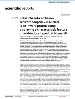 Lokiarchaeota Archaeon Schizorhodopsin-2 (Laszr2) Is an Inward Proton Pump Displaying a Characteristic Feature of Acid-Induced S