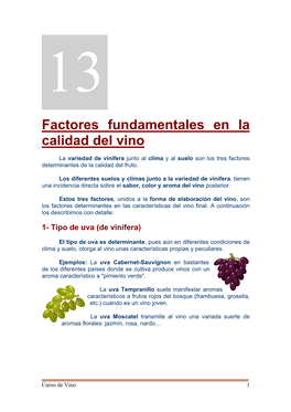 Factores Fundamentales En La Calidad Del Vino