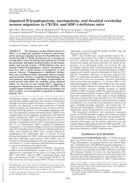 Impaired B-Lymphopoiesis, Myelopoiesis, and Derailed Cerebellar Neuron Migration in CXCR4- and SDF-1-Deficient Mice