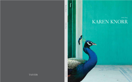 Karen Knorr, India Song © 2013