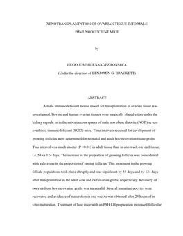 Xenotransplantation of Ovarian Tissue Into Male