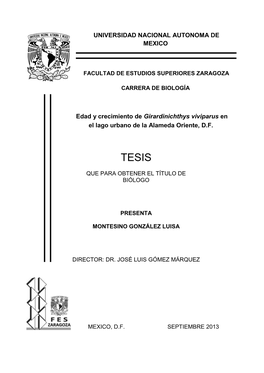 Tesis Montesino Gonzalez.Pdf