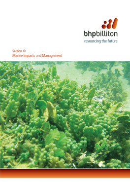 Section 10 Marine Impacts and Management 10