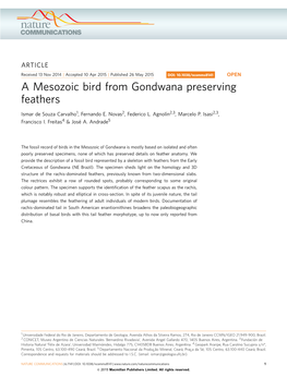 A Mesozoic Bird from Gondwana Preserving Feathers