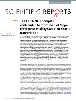 The CCR4-NOT Complex Contributes to Repression of Major
