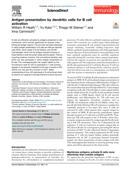 Antigen Presentation by Dendritic Cells for B Cell Activation