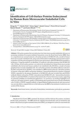 Identification of Cell-Surface Proteins Endocytosed by Human Brain