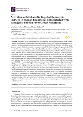 Activation of Mechanistic Target of Rapamycin (Mtor) in Human Endothelial Cells Infected with Pathogenic Spotted Fever Group Rickettsiae